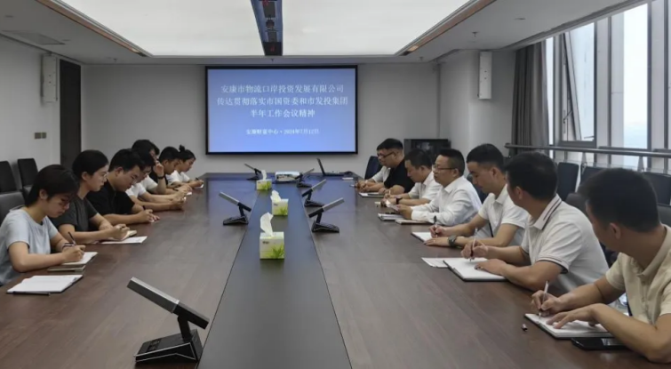 WG电子官网公司通报贯彻市国资委和市发投集团半年工作会心灵